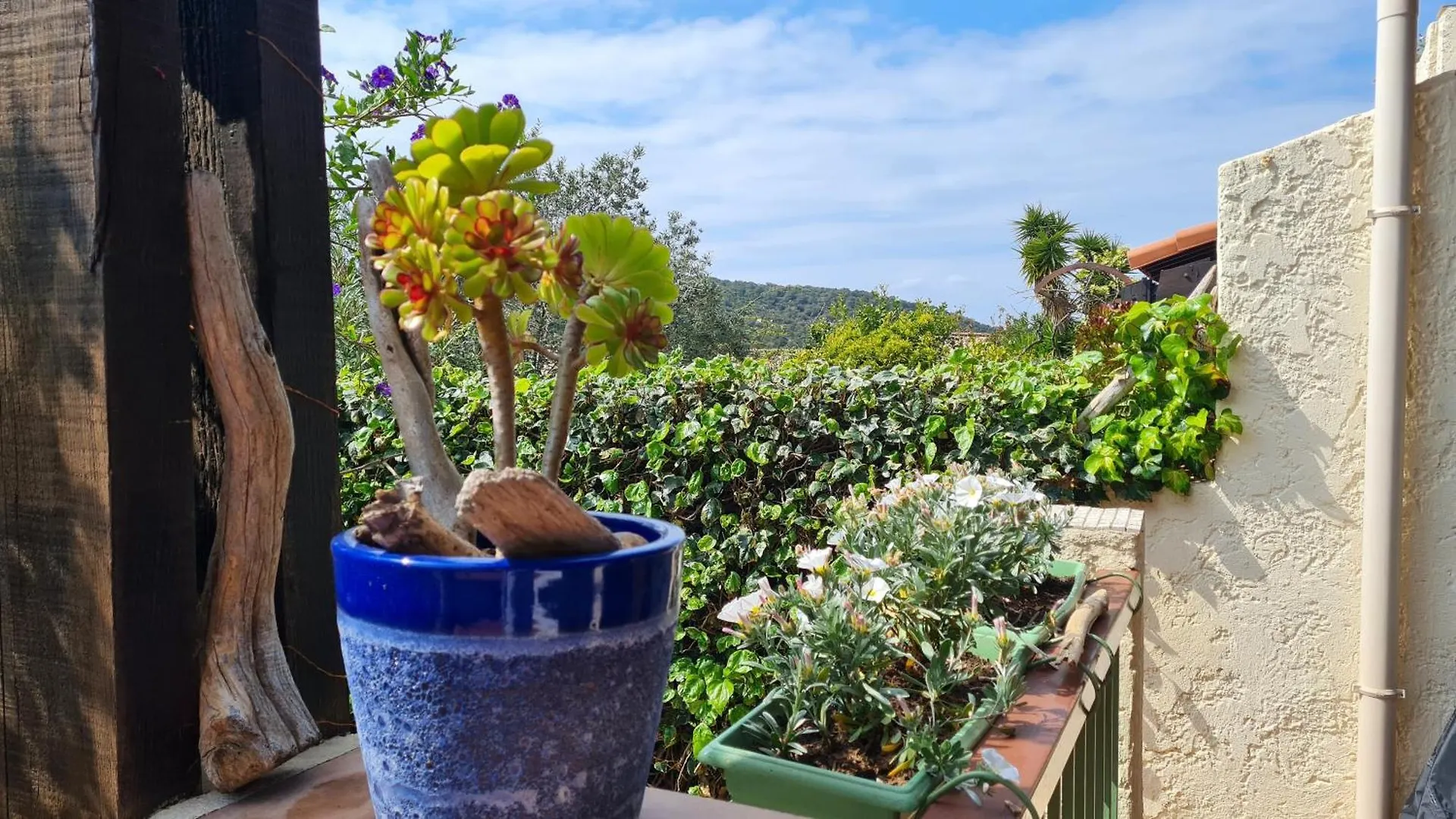 Διαμέρισμα Bel Appartement Renove, Avec Terrasse Et Piscine La Croix-Valmer